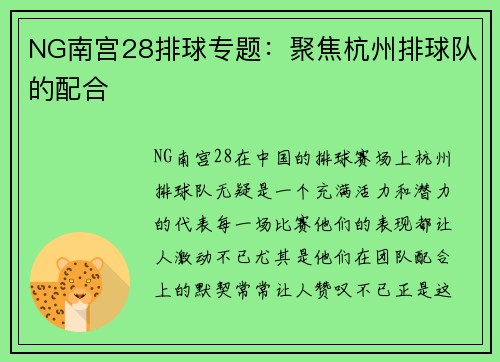 NG南宫28排球专题：聚焦杭州排球队的配合